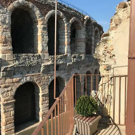 Arena View